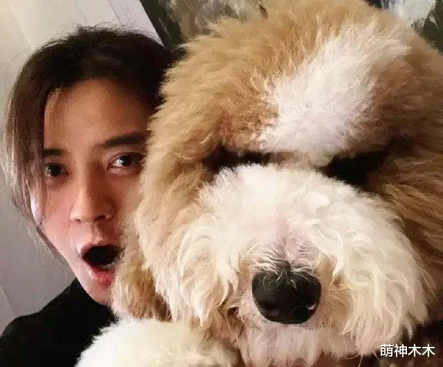 罗志祥|罗志祥借狗炫富惹争议,拍照背景全是大牌包,过个生日餐食都定制