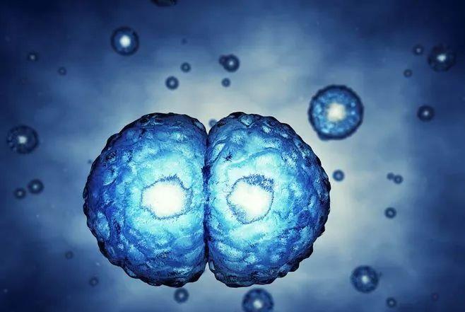  宇宙中有多少天体？相比人体细胞的数量和宇宙天体数量，谁更多？