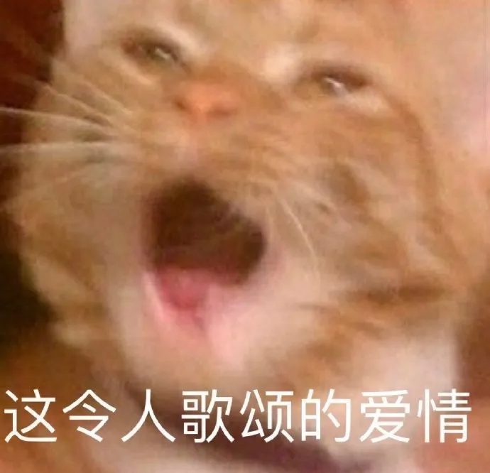 桃小菁说说|南台控股:整形撕x豪门恋一样不落,这对塑料姐妹怎么还是时代的眼泪?