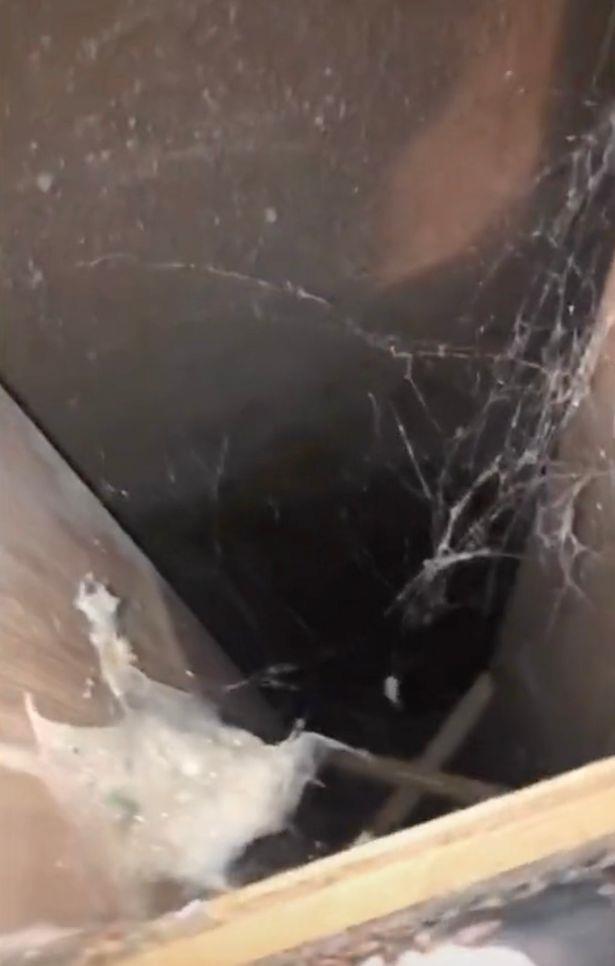 别试图隔绝我|美国两女子住进一旅馆,掀开一木板,发现下面藏有一个房间