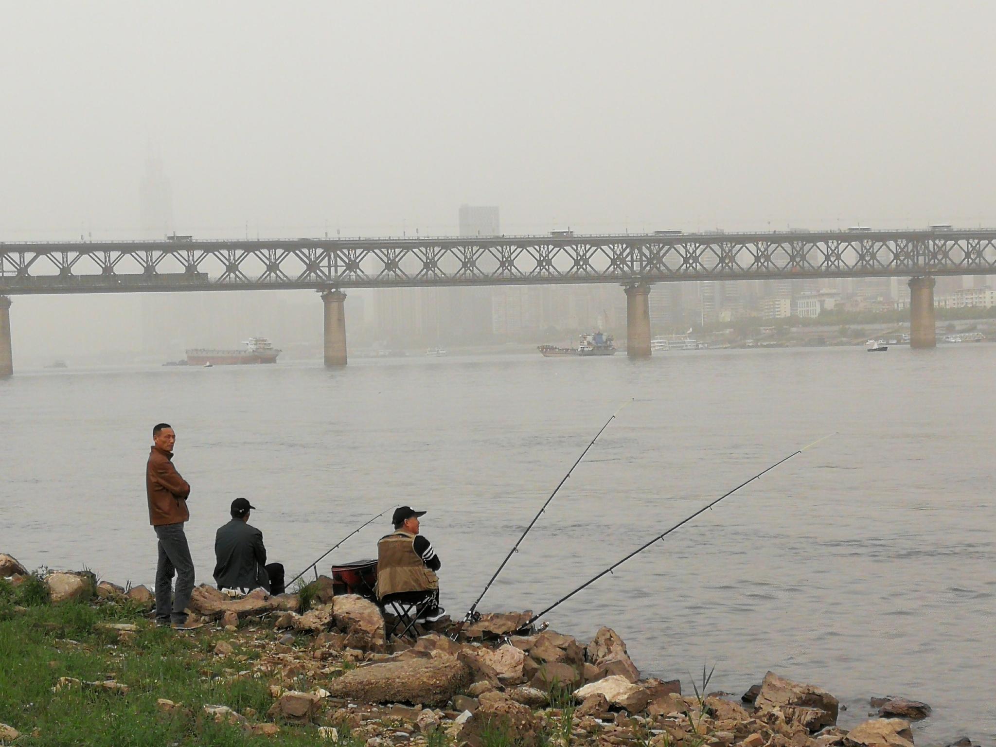 长江|三斤以下草鱼不许带走，长江推行垂钓守则，严重违反者可终身禁钓
