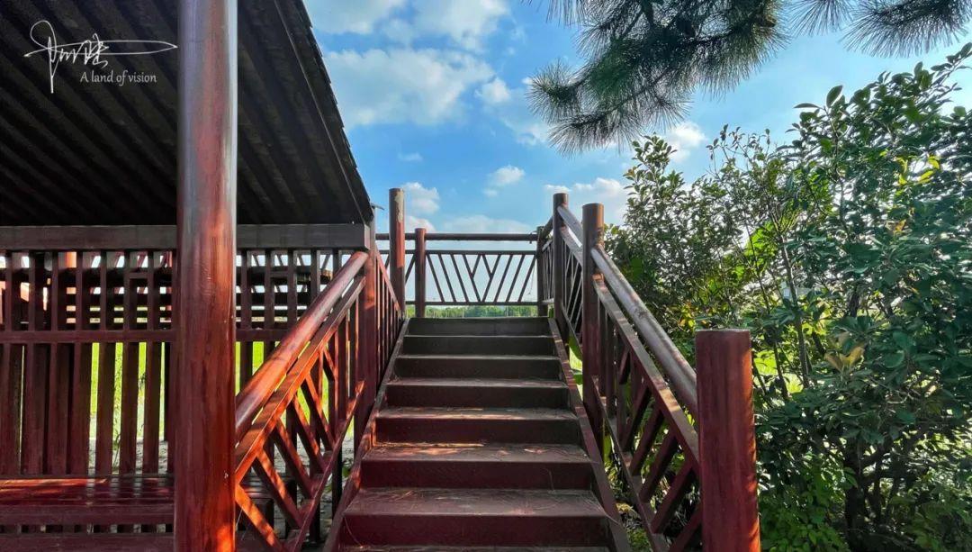 行星秘闻|杭州有两个“别具匠心”的公交车站，自带观景平台，风景如斯