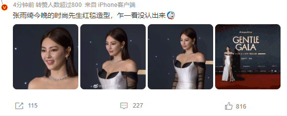 张雨绮|张雨绮红毯状态引热议，面部僵硬医美痕迹明显，网友直呼没认出来
