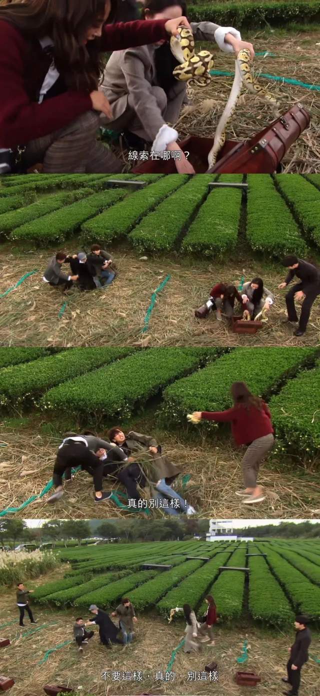 豆瓣|豆瓣9.2，每秒皆高潮！又一部良心之作封神了