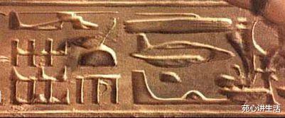 化石 科学史上五大谎言,没有一个是真的,但至今仍有人深信不疑