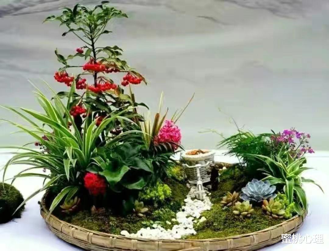 蜜桃心理|?越活越累的人，都有这3个共同点，希望你没有