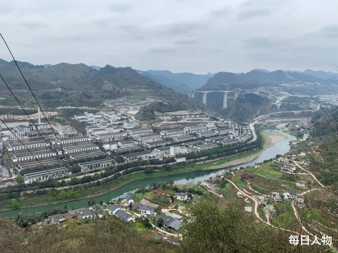 每日人物 挣得比大厂多,把人生泡在酒里,那些不想离开茅台镇的年轻人