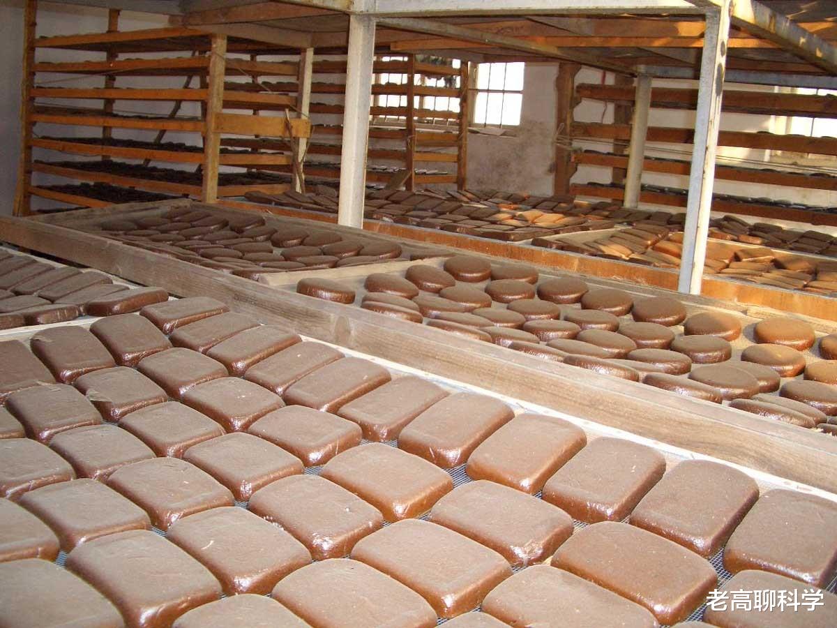 暗黑2 罕见，仅此1只！浙江桐庐发现天目臭蛙，全球2个分布点都在我国！