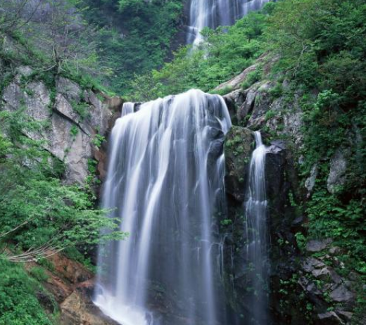 小黑哥看体育 怕孩子学语文钻牛角尖?要及时调整过来