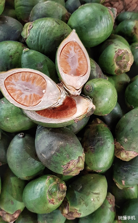 湖南 土耳其认定槟榔为毒品 湖南省市监局回应：尚无应对方案