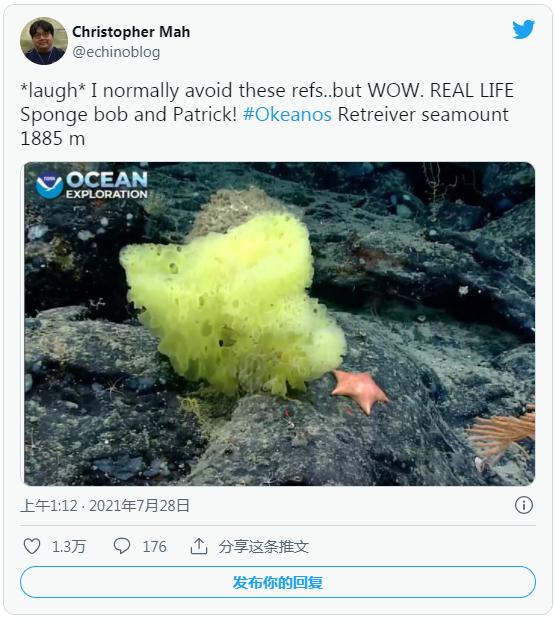 派大星 一艘研究船在海底一英里处，发现海绵宝宝，还有派大星