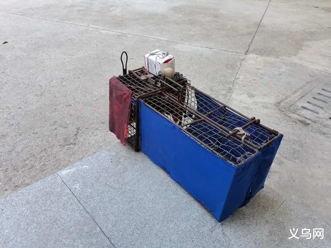 浦江一男子用黑科技抓猫