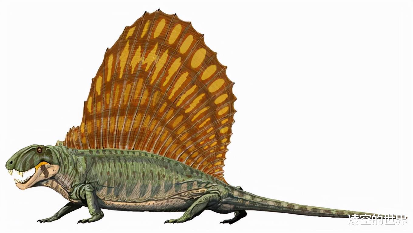 盘点地球各时期的生物霸主——(一)古生代