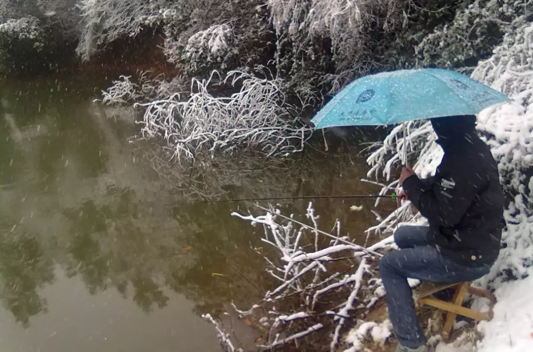 |冬钓想要好鱼获，其实真的有秘籍，学会四个勤，多冷都不怕没鱼口