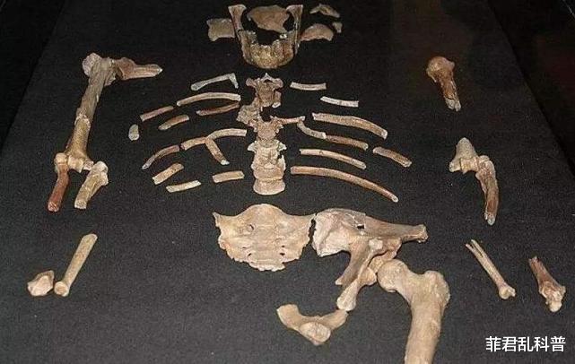 科学家|300万年前的人类被发现，科学家究其死因，发现她一生相当可怜