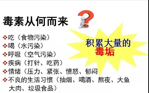 养生|养生的终极目的,是让细胞健康