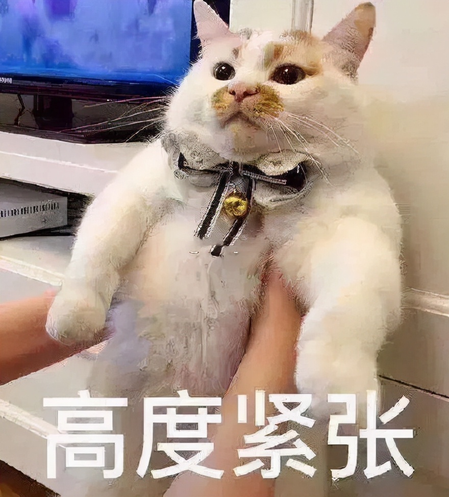 壹问三不知 它来了它来了,大学英语四六级网课资源,我给你们找来了