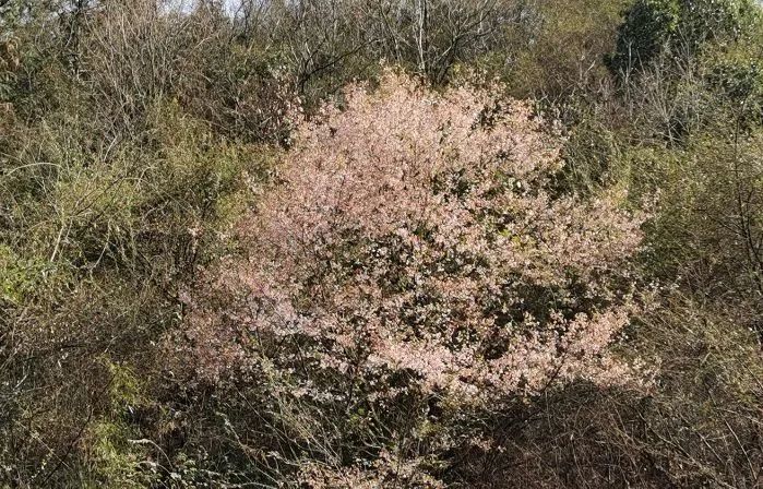 南陵快报 南陵的这位妈妈，收到了儿媳妇的一个红包