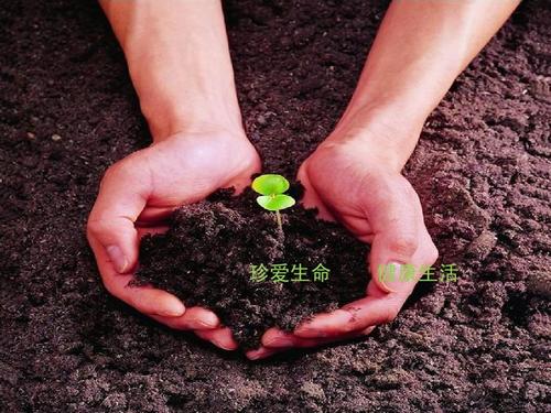 |地产人不仅要珍惜事业和工作，还有生命