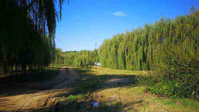 博古又通今 2020年去过的郊野公园盘点，之将台乡东坝环形铁路