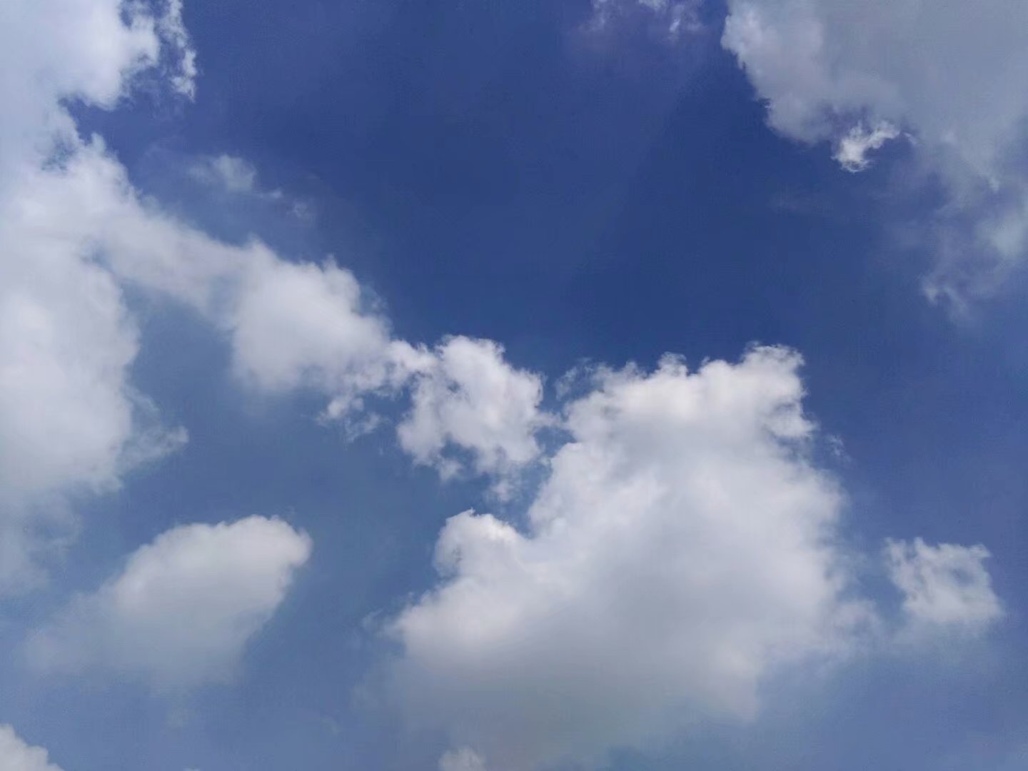 我要飞到天上去 怎么看有的农民发财后不再回农村？