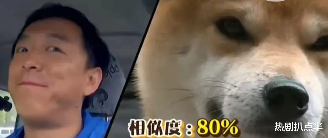 撞脸|明星搞笑撞脸合集，张若昀像哈士奇，金瀚神似三星堆