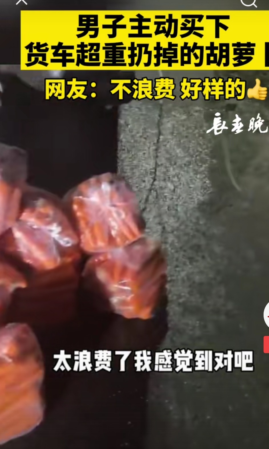 牧风芳华 货车司机扔掉超重的胡萝卜，路过男子的行为让人暖心了