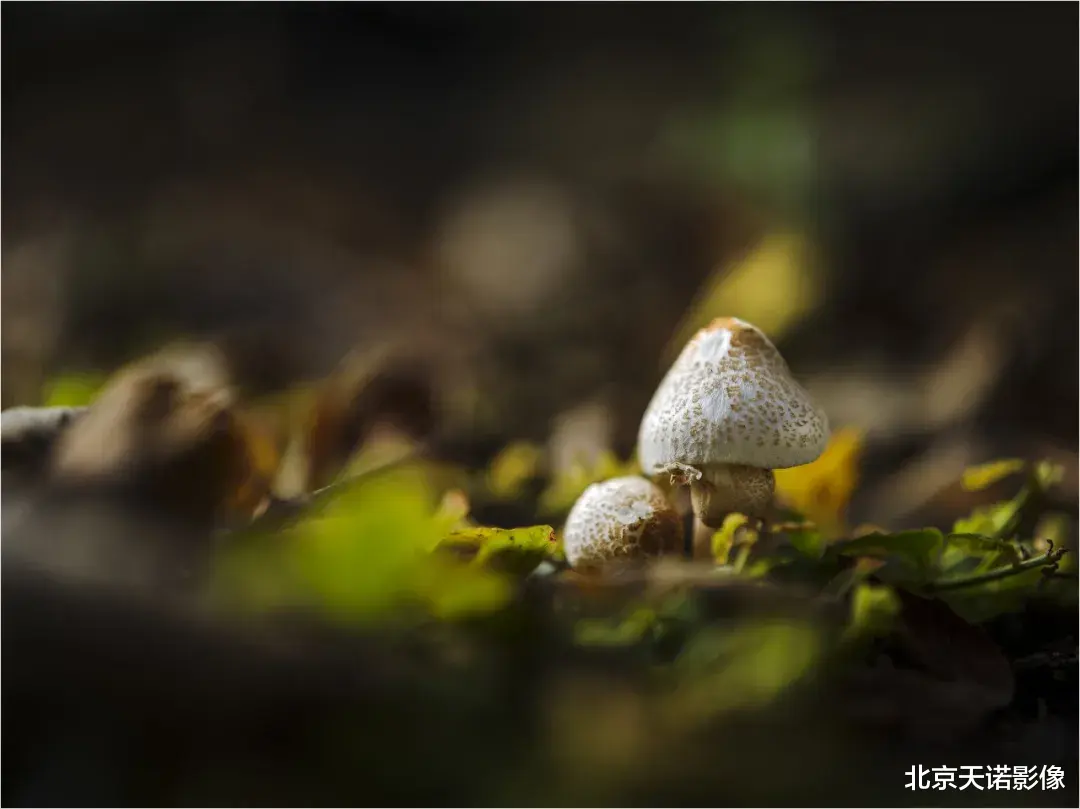 哈苏作品 | 你，会拍「生活」吗？