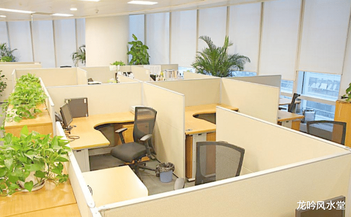 招聘|要如何布局催财旺运的办公室风水