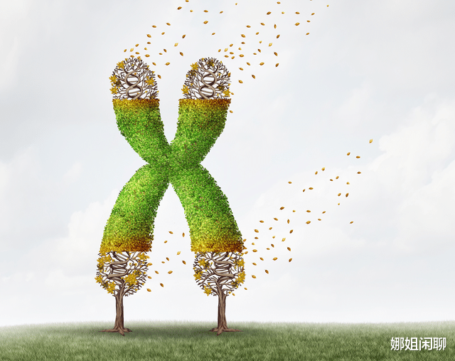  人类理论上能活1000岁，为何余下的900多岁，无故“消失”了？