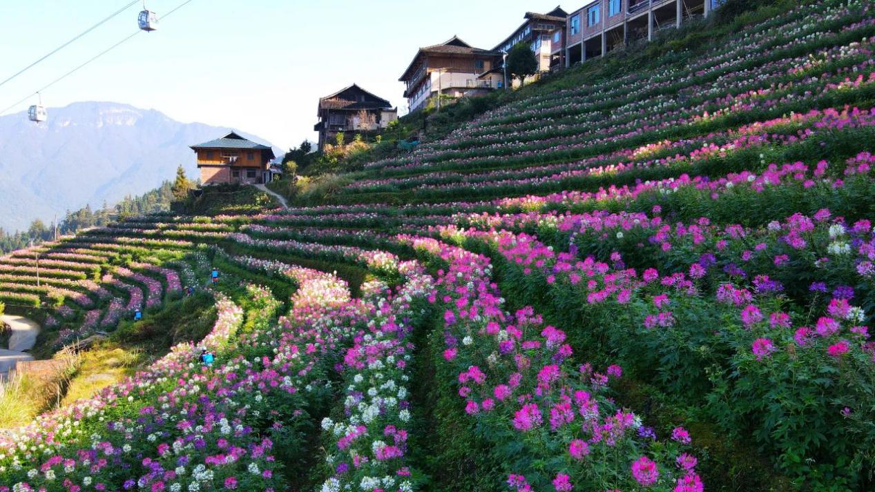 天池 龙胜这样美的冬天,你见过吗?