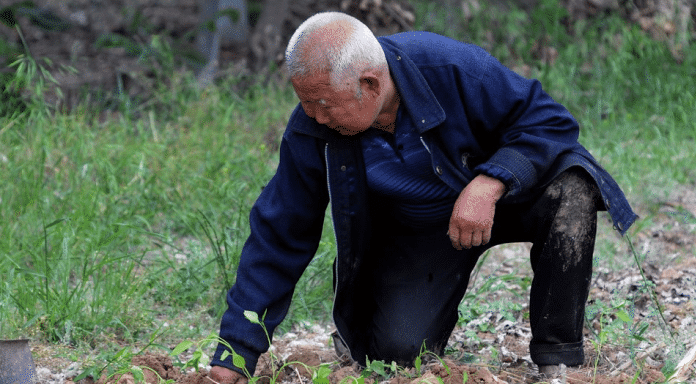 胃癌|每天1杯“水”，63岁大爷胃癌离世，医生：若不改，胃部烂如“蜂窝”