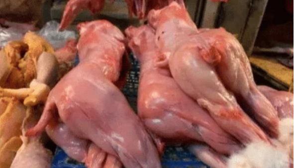 动物庄园|“我都23了,因为娃娃脸天天被人说是未成年...”