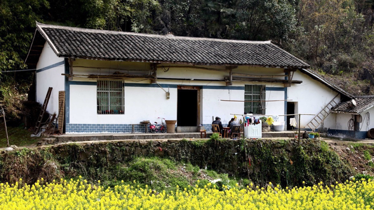 商品房|全家户口迁出农村，但老家还有房，宅基地能继续使用吗？