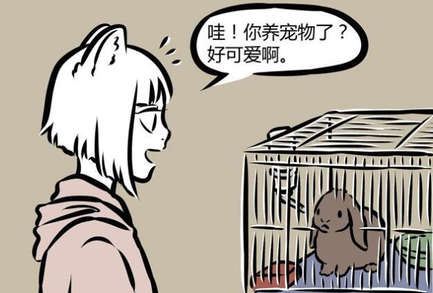 非人哉|非人哉:小玉男友睡笼子,九月新男友?这当中有着不可告人的秘密