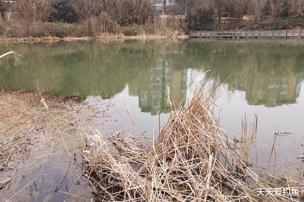 案件通报|冬季钓鱼，最应该避开的几类钓点，这里基本没鱼，下钩十有九空！