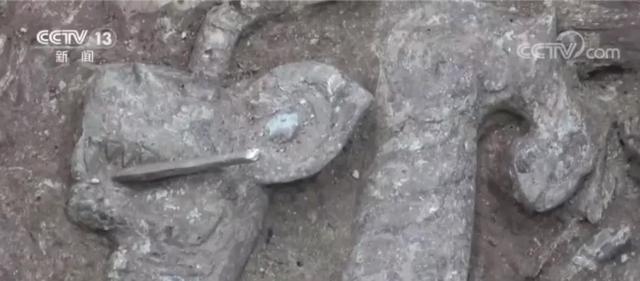 京东|三星堆发现“虎头虎脑”青铜龙！网友：这是虎年限定版？