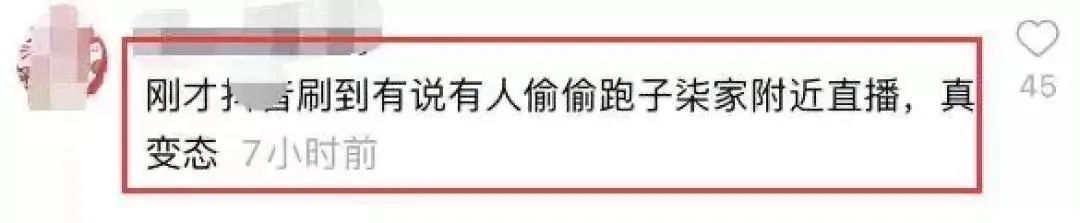 鲸鱼之心|消失47天，李子柒突然发声，已报警：毁掉她易，成为她难