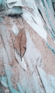 李嘉琦的星座爱情|“足浴女技师是不是很难追到？”哈哈哈哈哈哈挨了现实一巴掌！！！