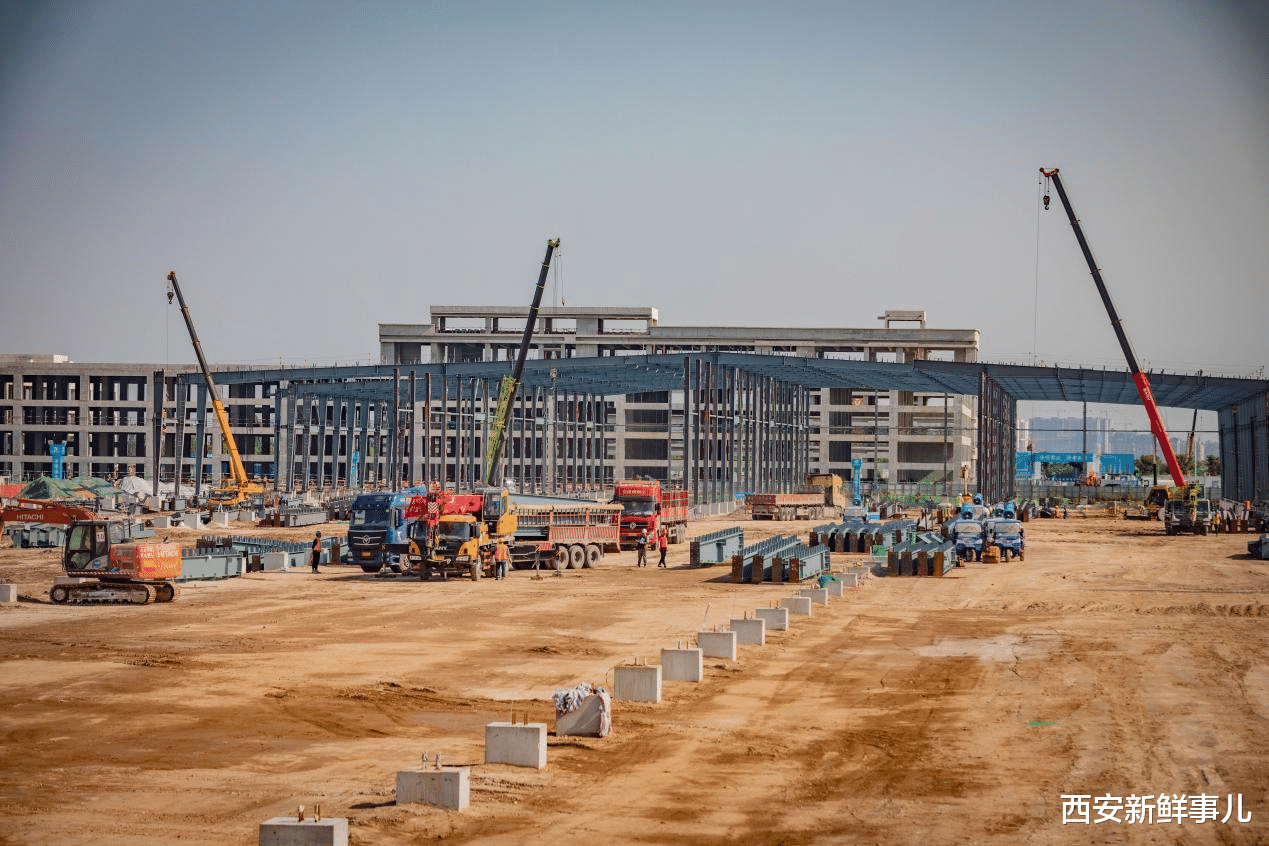 西安新鲜事儿 换个角度看泾河——这些摄影高手来泾河新城采风啦！