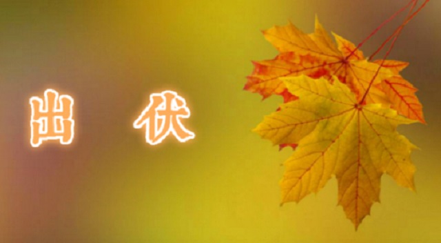 水果|三伏天后的秋天，如何“养阳”？一些细节值得我们做好