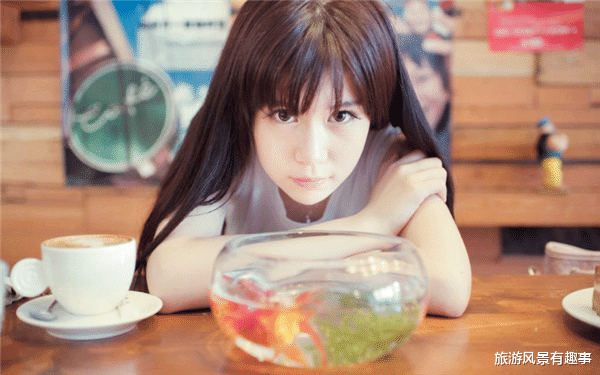 旅游风景有趣事|遇到爱情不会躲避,总是用心付出,必定结束单身的三个生肖