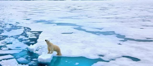 北极 “噩耗”传来！科考队伍在漂泊389天后，承认北极正逐渐“消失”
