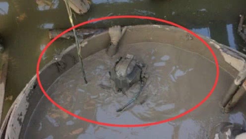 水濑 世界上真的有水猴子吗？河童，怨鬼，水濑，这三者谁才是真身？