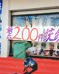 桃江|妹子，别以为不在办公室就安全了，等别人发现那就为时已晚了！