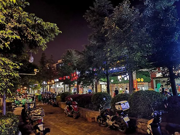 树艺蛙APP|北大学子吴谢宇弑母后逃亡当男模,天才到死刑犯的双面人生