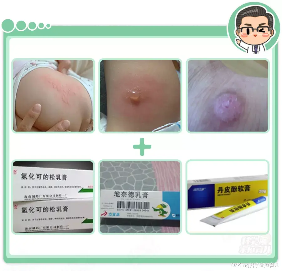 DrKing科学家庭育儿|触目惊心！蚊子传染19006例登革热，秋季严防这种“毒蚊”！