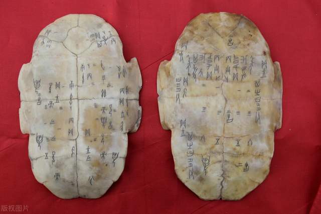 如果中国龙真的存在,它如何飞行?深度分析3种飞行可能性