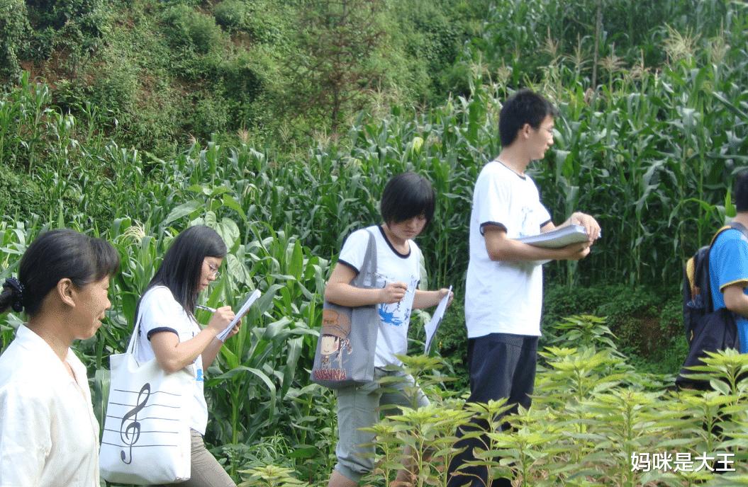 碧桂园|这些学生上了名牌大学也没用,毕业就失业,希望你不是其中之一