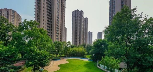 合肥|对合肥楼市调控的建议以及官方的回复